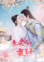 Dear Night Prince Chinese Drama photo