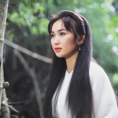 Against the Blade of Honour Hong Kong Drama(1995) photo