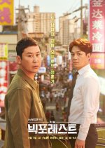 Big Forest Korean Drama photo