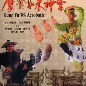 Kung Fu vs Acrobatic (1990)
