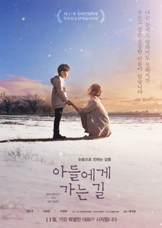 Journey to My Boy (2017) poster