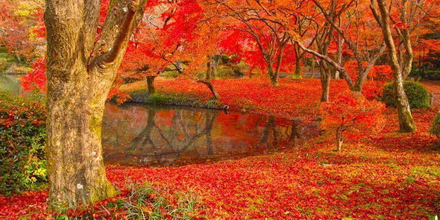 Japanese Autumn Drama Season September November Mydramalist