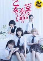 Araburu Kisetsu no Otome-domo yo. (TV Series 2019-2019) - Imagens