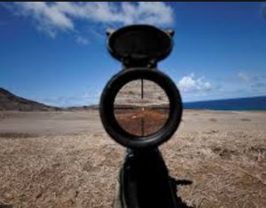 Best scope For 233 Bolt