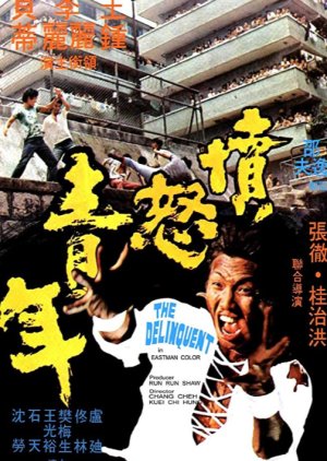 The Delinquent (1973) poster