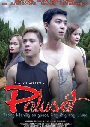 Palusot (2017) poster