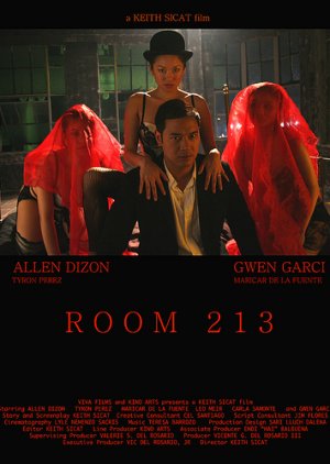 Room 213 (2008) poster