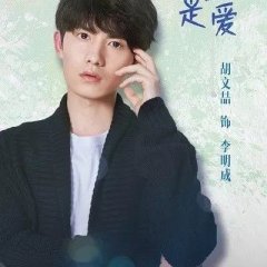 About Is Love Chinese Drama photo