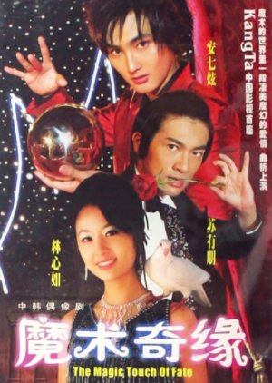 The Magic Touch of Fate (2004) poster