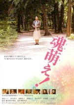 Tamamoe! Japanese Movie photo