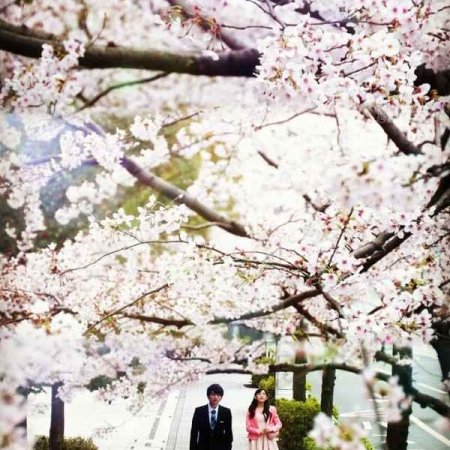 Kamisama no Boto  (2013)