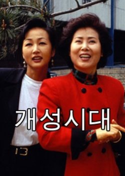 The Gaeseong Era (1995) poster