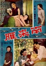 Home Sweet Home Hong Kong Movie(1950) photo