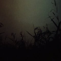 Mushishi (2007) photo