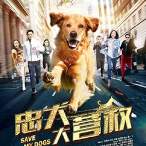 Save My Dogs (2018)