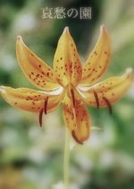 Aishu no Sono Japanese Movie photo