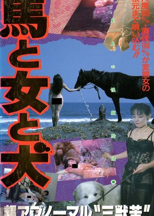Horse and Woman and Dog (1990) poster