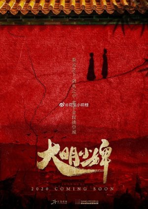 Da Ming Xiao Bi () poster