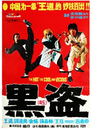 Hot, Cool and Vicious (1977) poster