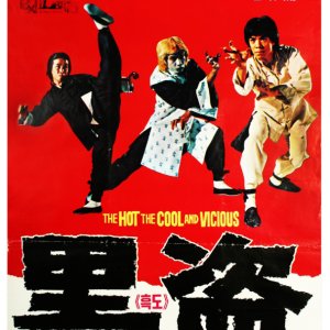 Hot, Cool and Vicious (1977)