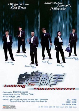 Looking for Mr. Perfect (2003) poster