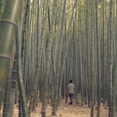 Ghost Image Korean Movie photo