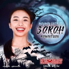 Mystery of the Twin Bat Philippines Drama photo