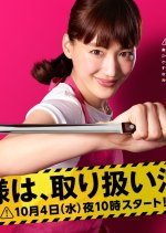 Caution, Hazardous Wife Japanese Drama photo