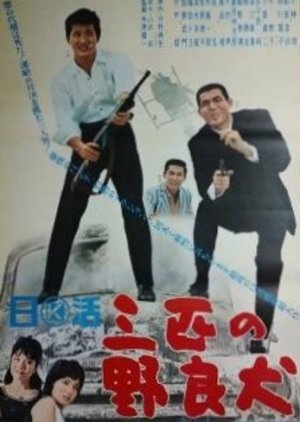 Three Stray Dogs (1965) poster