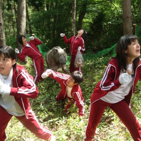 Kamisama no Boto  (2013)