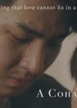 A Cohabitation Taiwanese Movie photo