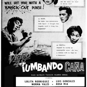 Tumbando Cana (1956)