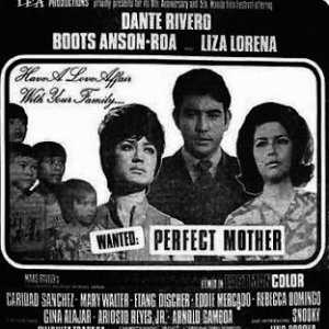 Wanted: Perfect Mother (1970)