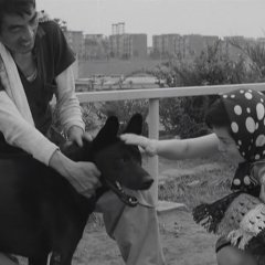 She and He Japanese Movie photo