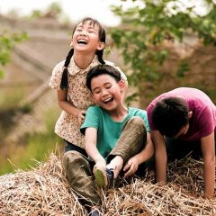 Song of the Phoenix Chinese Movie photo