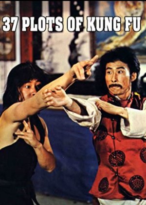 37 Plots of Kung Fu (1979) poster
