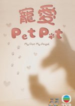My Pet My Angel Hong Kong Drama photo