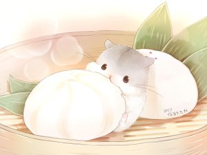 Moon hamster