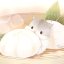 Moon hamster