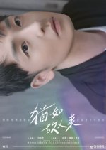 The Memory Chinese Drama(2021) photo