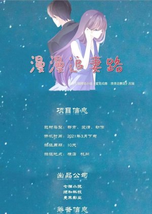 Man Man Zhui Qi Lu () poster
