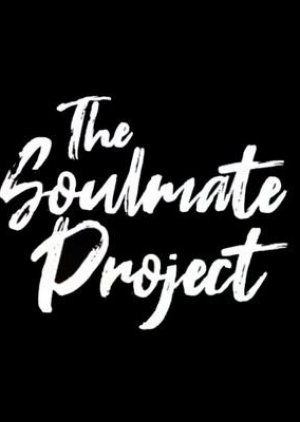 The Soulmate Project () poster