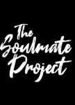 The Soulmate Project