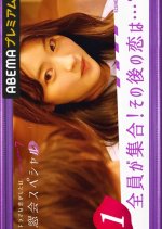 Falling in Love Like a Romantic Drama: KISS or Kiss Class Reunion Japanese TV Program photo