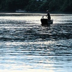 They Say Nothing Stays the Same (2019) photo