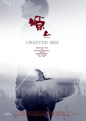 Crested Ibis (2017) poster