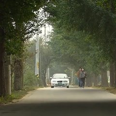 What's Up Fox? Korean Drama(2006) photo