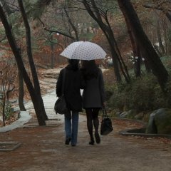 Oki's Movie Korean Movie photo