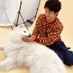 Suki Suki Wan Wan! Japanese Drama photo