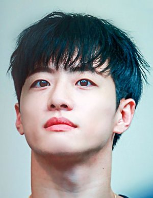 Feeldog Fotoğraf